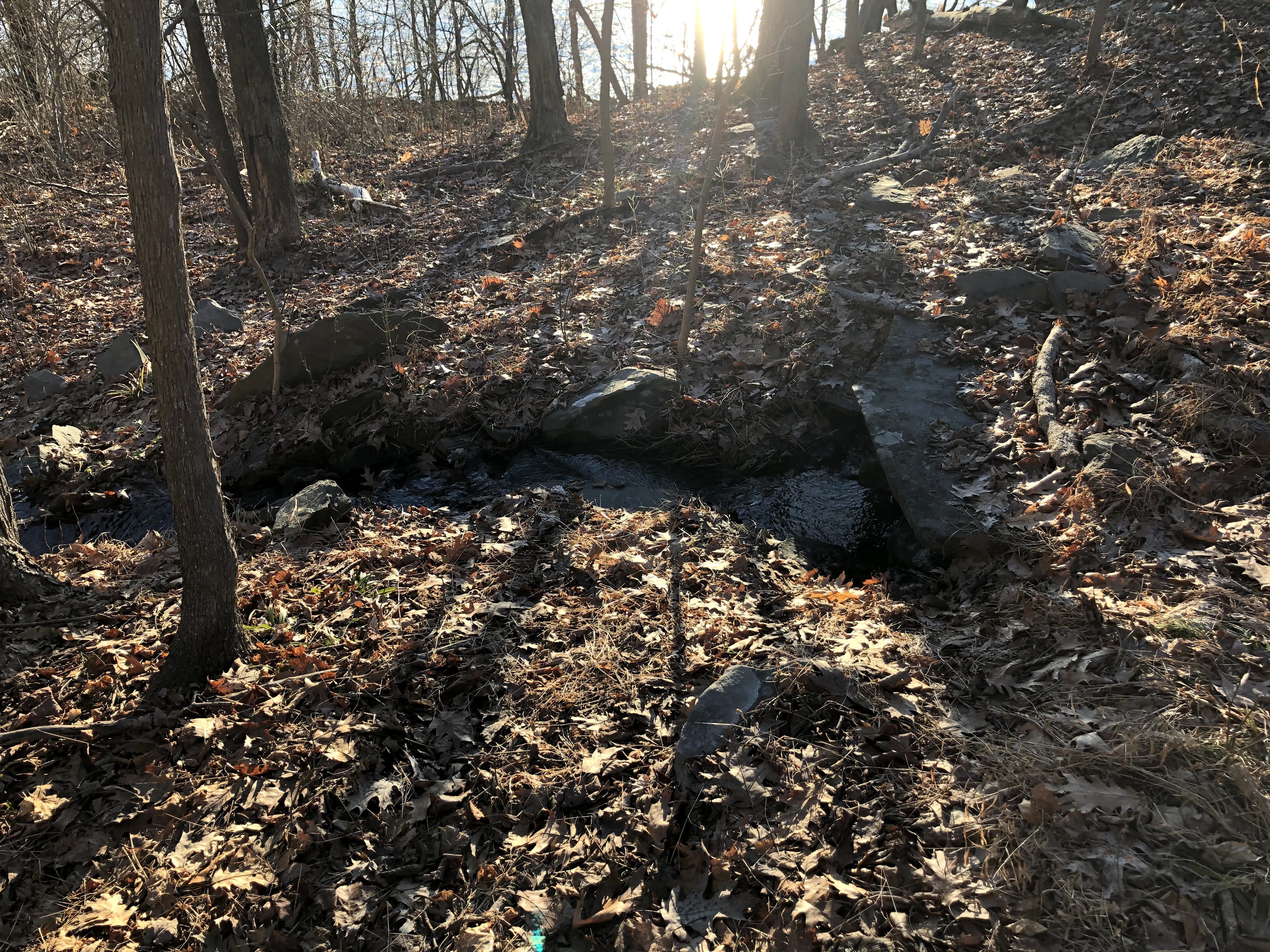 hymns to the silence