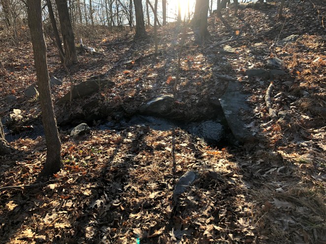 hymns to the silence